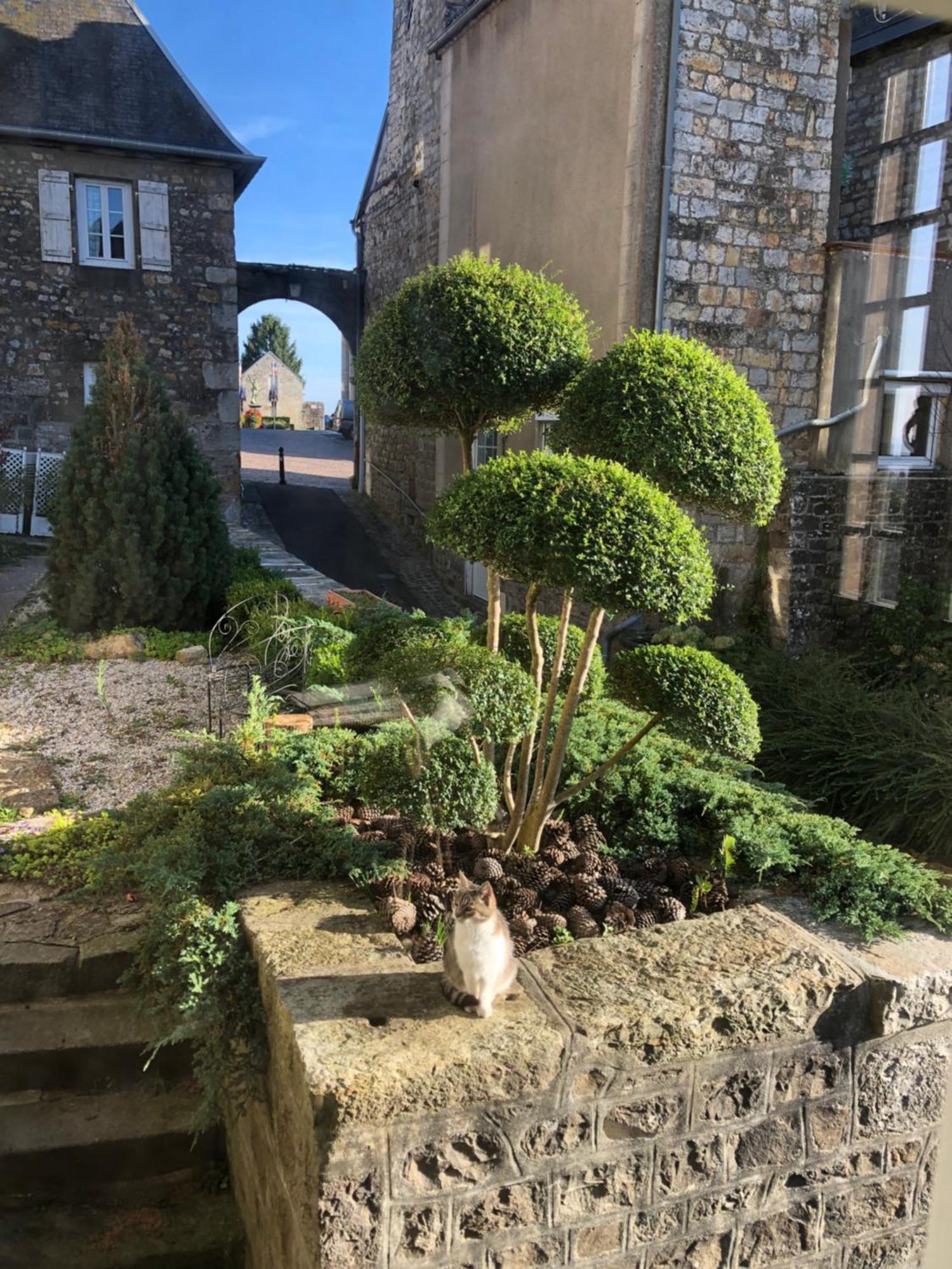 La Maison Sur Les Remparts Domfront  Exterior foto